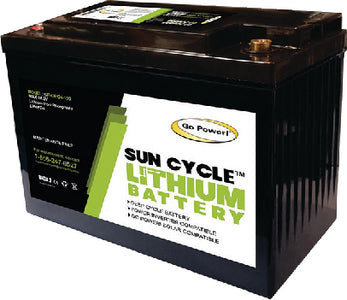 Go Power 82738 Gp-Lifepo4-100 Lithium Battery - LMC Shop