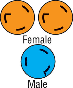 Furrion 381715 Y-Adap (2)30a F- 50a 125v M - LMC Shop