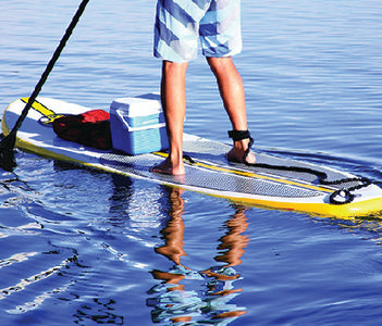 Airhead AHSUP-A008 Sup Scrunchy Board Leash - LMC Shop