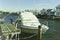Monarch Mooring Whips 0 Whip Mini Std Duty W/adj. Base - LMC Shop