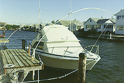 Monarch Mooring Whips I Whip Heavy Duty W/adj. Base - LMC Shop