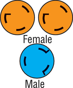 Furrion 381716 Y-Ada (2)30a F-50a 250v M - LMC Shop