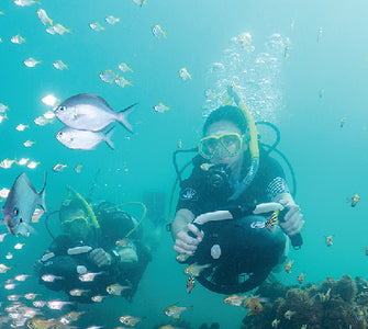 Sea Doo YME25DMP Seascooter Dive 250gt 2.5mph - LMC Shop